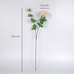 Dahlia Flower Stem Cream 65cmH