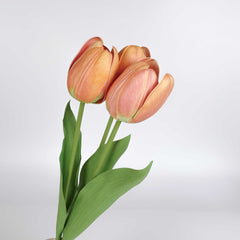 3 Stems Tulip Bunch 49cmH