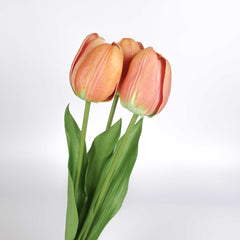 3 Stems Tulip Bunch 49cmH