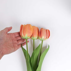 3 Stems Tulip Bunch 49cmH