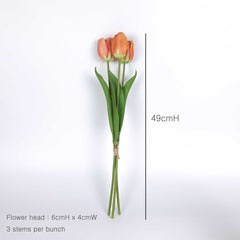 3 Stems Tulip Bunch 49cmH