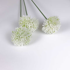 Allium Flower Stem 60cmH