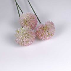 Allium Flower Stem 60cmH