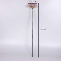 Allium Flower Stem 60cmH