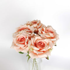 5H Long Stemmed Rose Bouquet Peach 50cmH