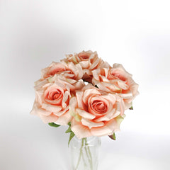 5H Long Stemmed Rose Bouquet Peach 50cmH