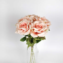 5H Long Stemmed Rose Bouquet Peach 50cmH