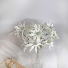 3 Stems Flannel Flower Bunch 36cmH