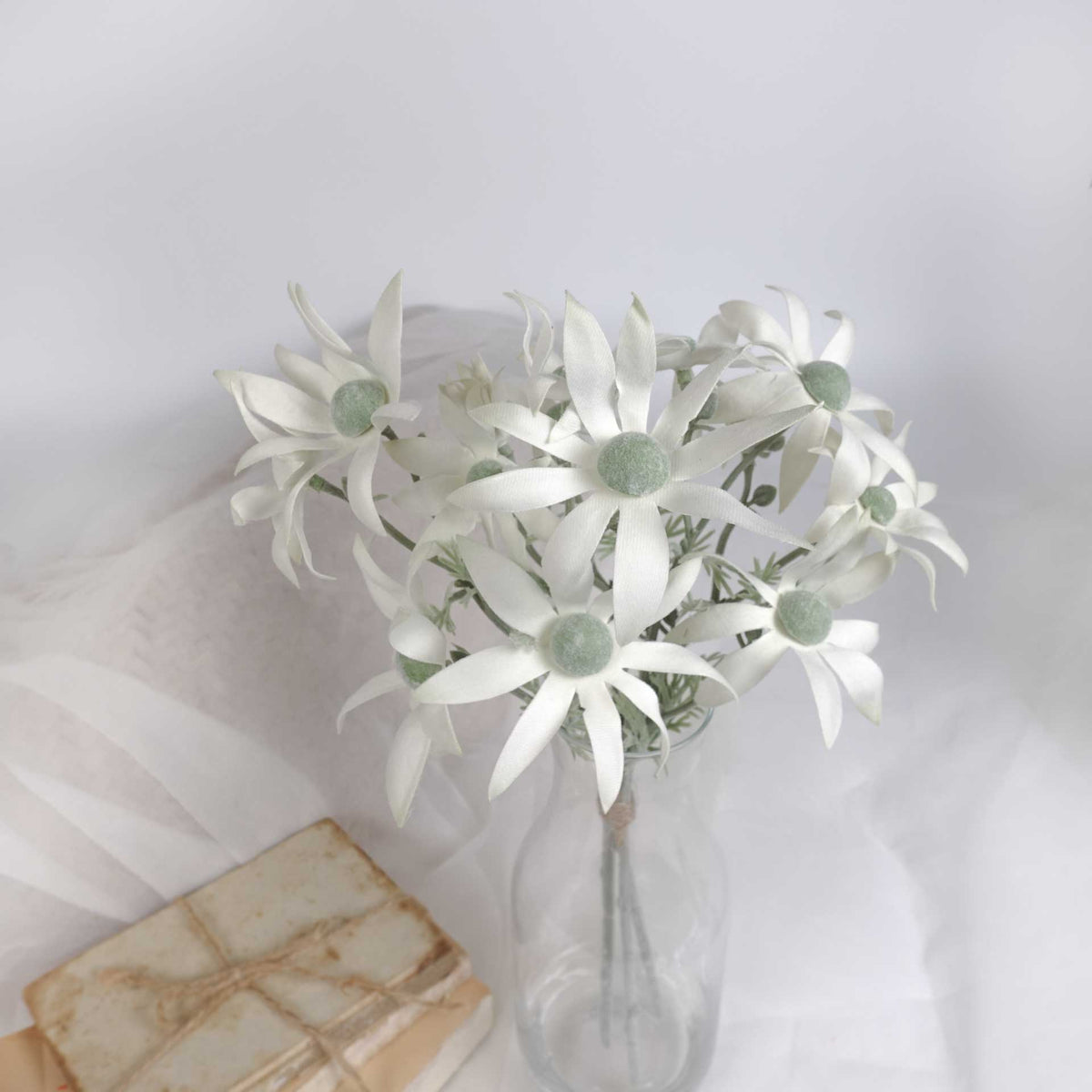 3 Stems Flannel Flower Bunch 36cmH