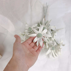 3 Stems Flannel Flower Bunch 36cmH