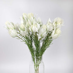 4 Heads Blushing Bride Stem 55cmH