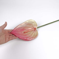 Anthurium Single Stem 85cmH