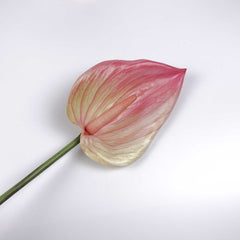 Anthurium Single Stem 85cmH