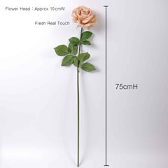 Real Touch Garden Rose Stem (Type1) 75cmH