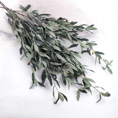 Olive Leaf Spray 110cmH