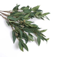 Eucalyptus Gum Leaf Seed Spray