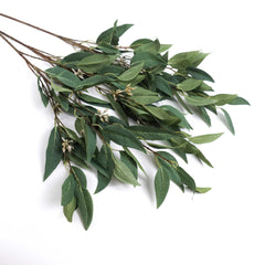 Eucalyptus Gum Leaf Seed Spray