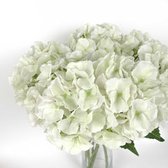 Real-touch Hydrangea Stem 50cmH