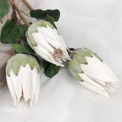 Artificial Queen Protea Stem, White Protea, Faux Protea