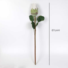 Artificial Queen Protea Stem 67cmH