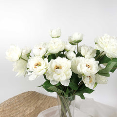 3 Heads Peony Flower Stem Cream 52cmH