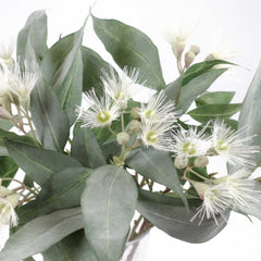 Eucalyptus Flowering Cream Green 53cmH