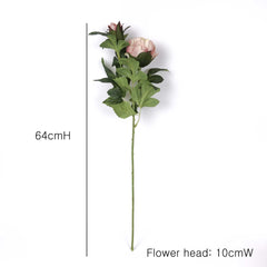 English Rose Stem 64cmH