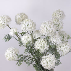 3 Heads Queen Annes Lace Stem 67cmH