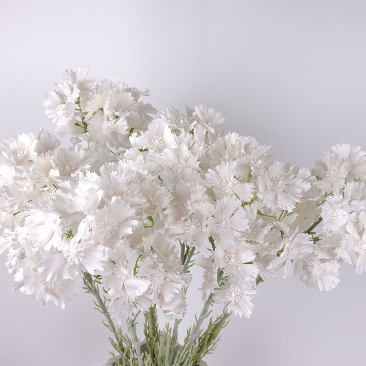 Dianthus Stem 65cmH