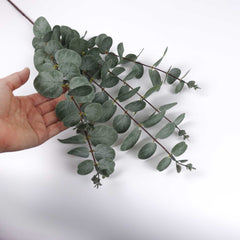 Eucalyptus Long Spray 100cmH