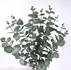 Eucalyptus Long Spray 100cmH