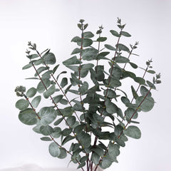 Eucalyptus Long Spray 100cmH