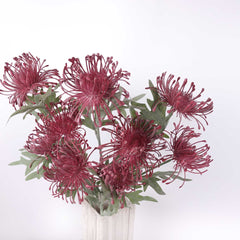 3 Heads Pincushion Leucospermum Stem 70cmH