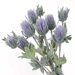 3 Heads Sea Holly Spray