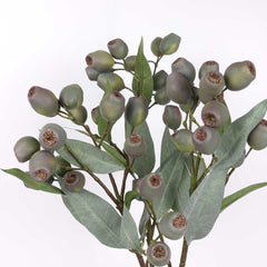 Eucalyptus Gum Nut Branch 67cmH