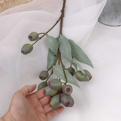 Eucalyptus Gum Nut Branch 67cmH