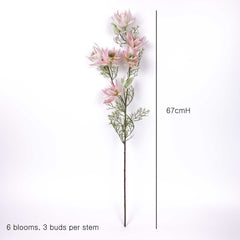 9 Heads Blushing Bride Stem