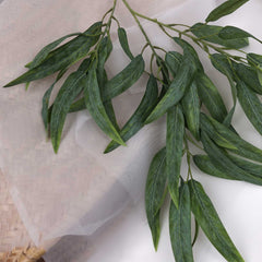 Eucalyptus Gum Leaf Spray