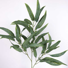 Eucalyptus Gum Leaf Spray