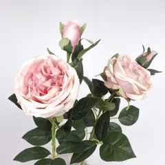 2 Heads Austin Rose Stem in Pink