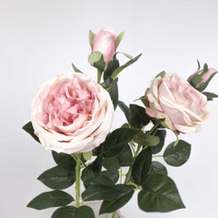 2 Heads Austin Rose Stem in Pink