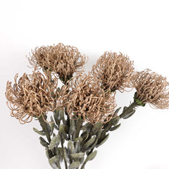 Artificial Leucospermum Stem 47cmH