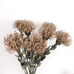 Artificial Leucospermum Stem 47cmH