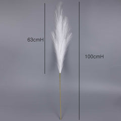 Reed Pampas Grass Long Spray 100cmH