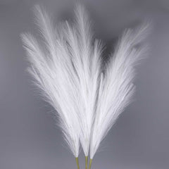 Reed Pampas Grass Long Spray 100cmH