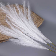 Reed Pampas Grass Long Spray 100cmH