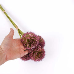 Allium Flower Bunch in Mauve 50cmH