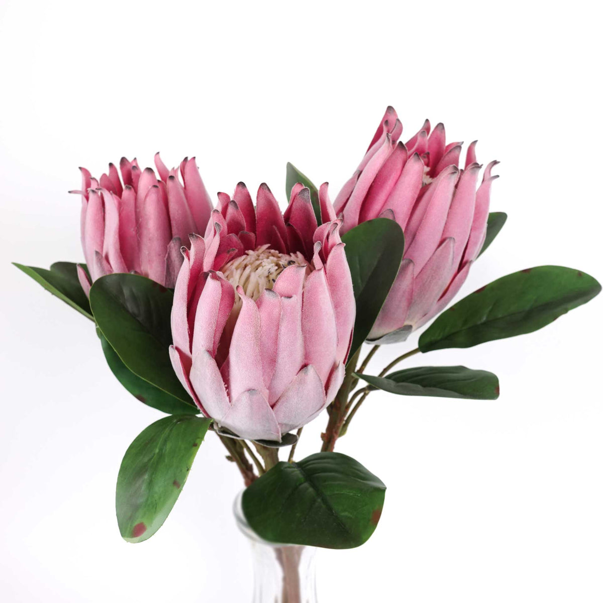 Artificial Queen Protea Stem 55cmH