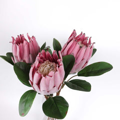 Artificial Queen Protea Stem 55cmH