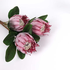 Artificial Queen Protea Stem 55cmH